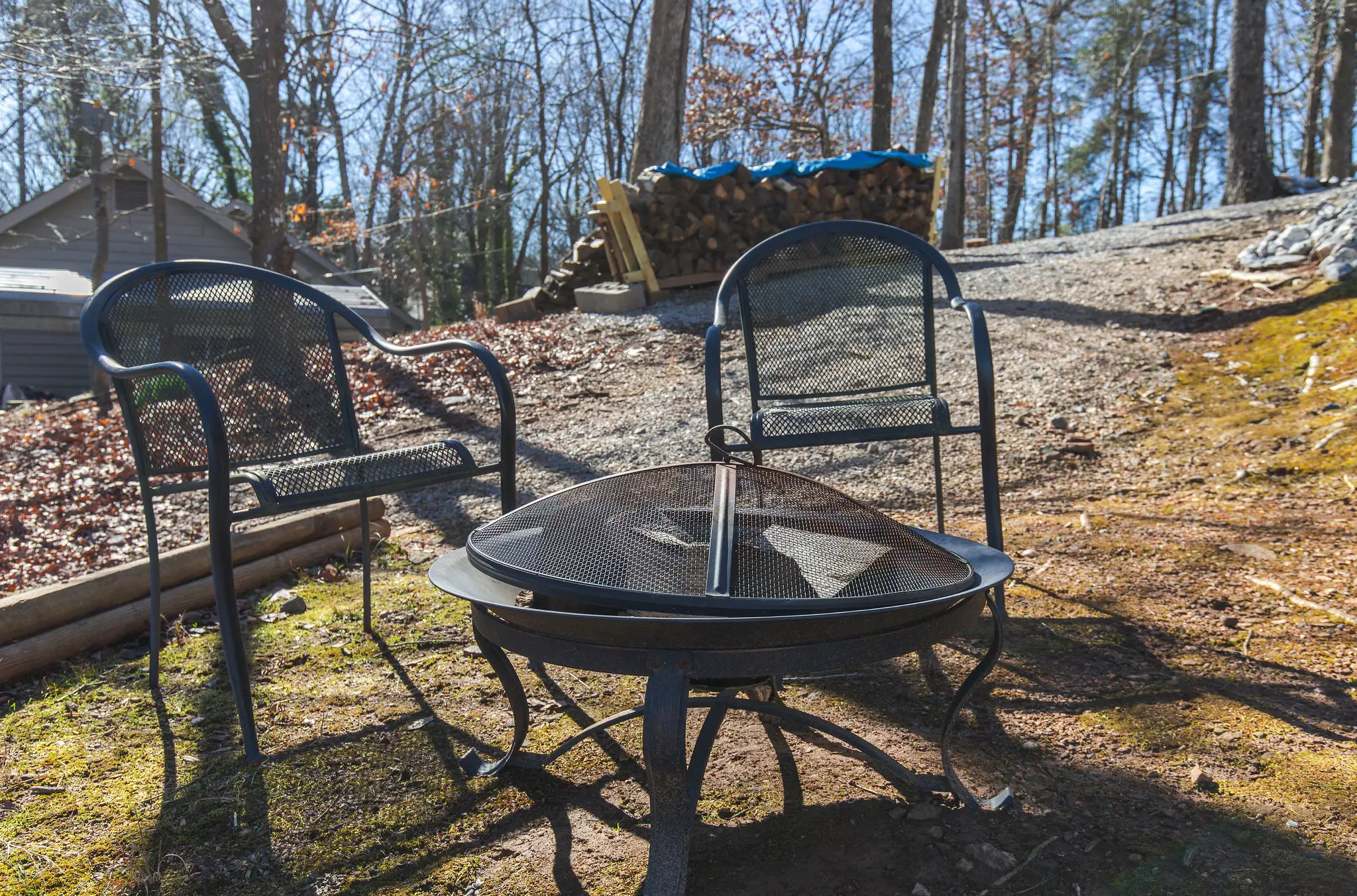 Fire pit with chairs among the trees