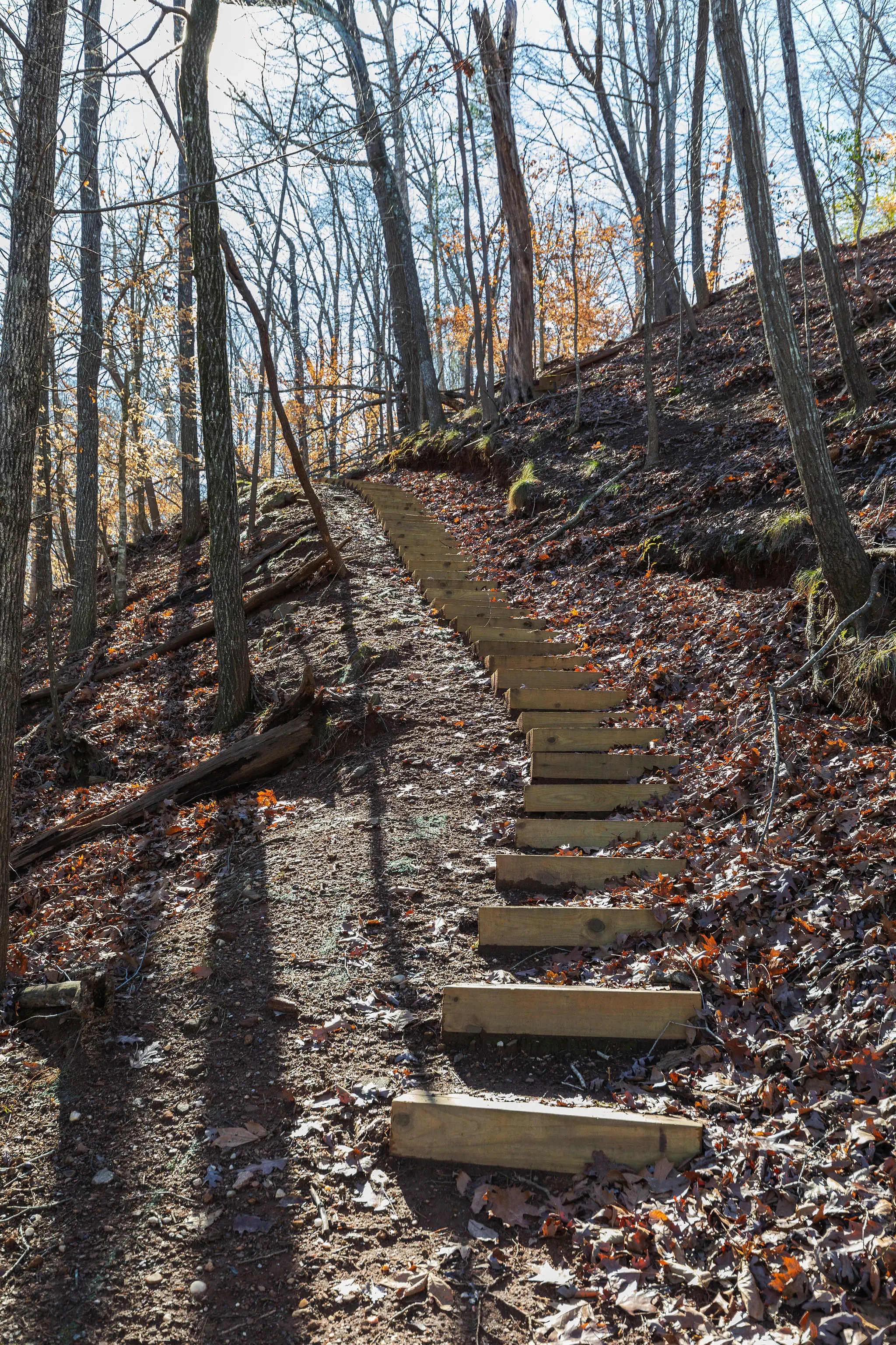 Wooded timber steps leading down to the dock